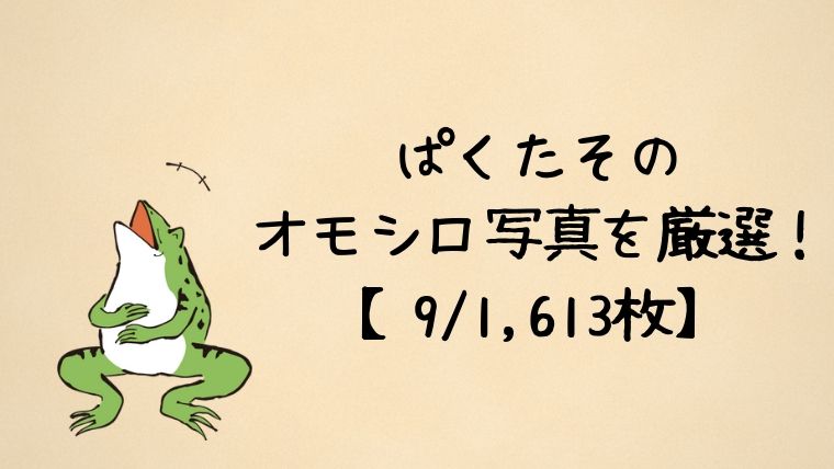 1613枚から厳選 大川竜弥のおもしろフリー素材9選 ぱくたそ かえるのしっぽ
