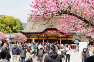 太宰府と梅の花