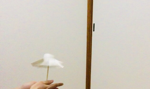 f:id:kaeru2019:20190223231510j:plain f:id:kaeru2019:20190223231510j:plain