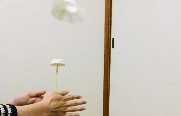 f:id:kaeru2019:20190223231602j:plain f:id:kaeru2019:20190223231602j:plain