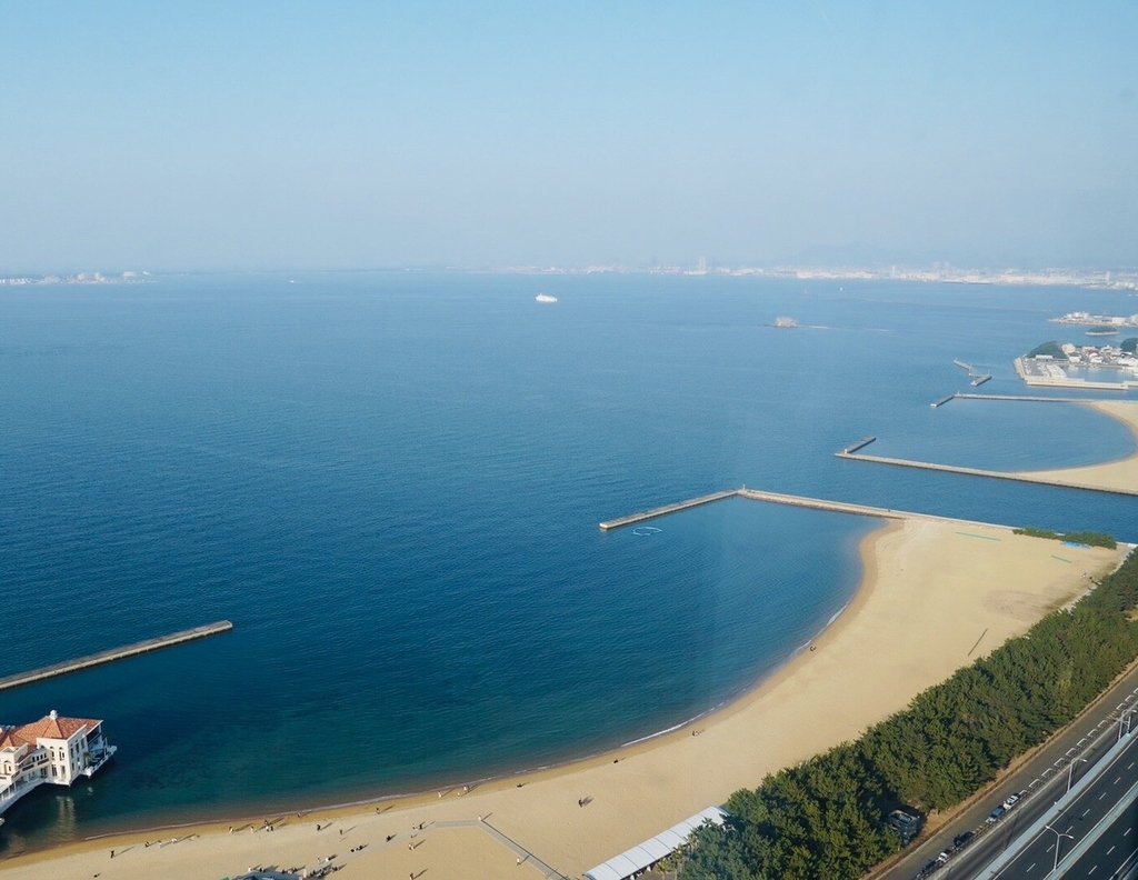 f:id:kaeru2019:20190306201934j:plain f:id:kaeru2019:20190306201934j:plain