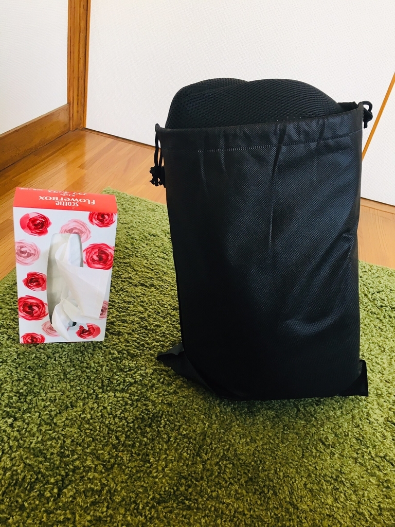 f:id:kaeru2019:20190309095752j:plain f:id:kaeru2019:20190309095752j:plain