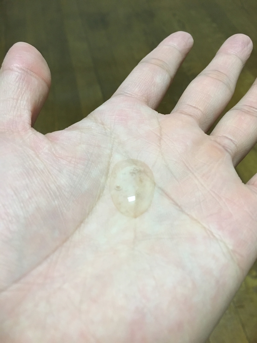 f:id:kaeru2019:20190321000903j:plain f:id:kaeru2019:20190321000903j:plain
