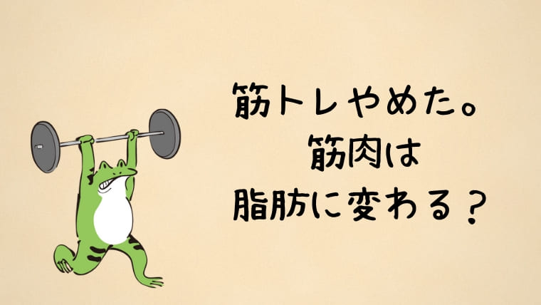 1年間続けた筋トレをやめて1年経った結果 筋肉は脂肪に変わる かえるのしっぽ