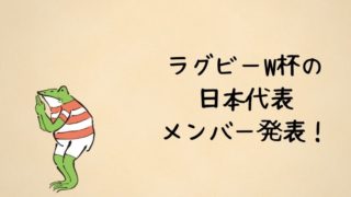 ラグビーW杯の日本代表メンバー