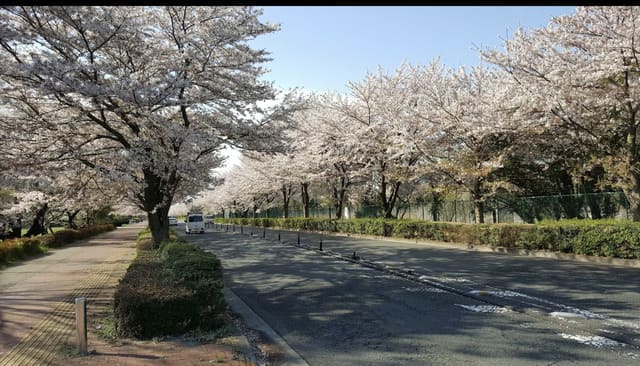 武蔵野の森公園